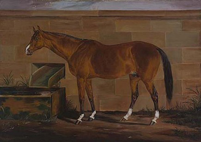 LR-jackson-horse-1980_137_931-435x309
